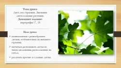 Презентация по биологии на тему "Лист", 6-7 класс - Класс учебник | Академический школьный учебник скачать | Сайт школьных книг учебников uchebniki.org.ua