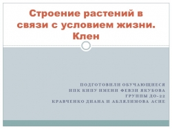 Презентация по экологии на тему: "Строение растения, в связи с условием жизни.Клен." - Класс учебник | Академический школьный учебник скачать | Сайт школьных книг учебников uchebniki.org.ua