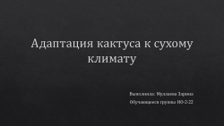 Презентация по экологии на тему: "Кактусы." - Класс учебник | Академический школьный учебник скачать | Сайт школьных книг учебников uchebniki.org.ua