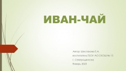 Презентация на тему : "Иван-чай" - Класс учебник | Академический школьный учебник скачать | Сайт школьных книг учебников uchebniki.org.ua