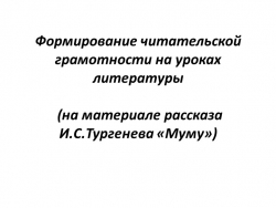 Презентация к уроку в 5 классе по теме "Формирование читательской грамотности на уроках литературы (на материале рассказа "Муму" И.С.Тургенева") - Класс учебник | Академический школьный учебник скачать | Сайт школьных книг учебников uchebniki.org.ua