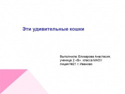 Презентация к уроку окружающего мира "Эти удивительные кошки" - Класс учебник | Академический школьный учебник скачать | Сайт школьных книг учебников uchebniki.org.ua