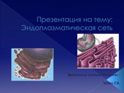 Презентация по биологии "Эндоплазматическая сеть" - Класс учебник | Академический школьный учебник скачать | Сайт школьных книг учебников uchebniki.org.ua