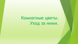 Презентация по окружающему миру "Комнатные цветы" - Класс учебник | Академический школьный учебник скачать | Сайт школьных книг учебников uchebniki.org.ua