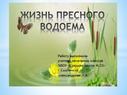 Презентация "Жизнь пресного водоема" к уроку окружающего мира - Класс учебник | Академический школьный учебник скачать | Сайт школьных книг учебников uchebniki.org.ua