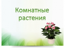 Презентация для детей младшего дошкольного возраста на тему: "Комнатные растения" - Класс учебник | Академический школьный учебник скачать | Сайт школьных книг учебников uchebniki.org.ua