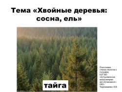 Презентация по биологии на тему "Хвойные деревья: ель, сосна" (7 класс) - Класс учебник | Академический школьный учебник скачать | Сайт школьных книг учебников uchebniki.org.ua