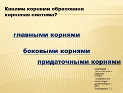 Презентация по биологии на тему "Видоизменение корней" (7 класс) - Класс учебник | Академический школьный учебник скачать | Сайт школьных книг учебников uchebniki.org.ua