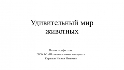 Презентация к коррекционно - развивающему занятию "Удивительный мир животных" - Класс учебник | Академический школьный учебник скачать | Сайт школьных книг учебников uchebniki.org.ua