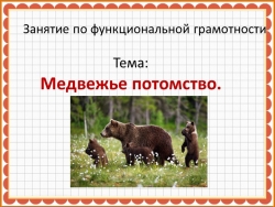 Презентация по функциональной грамотности на тему "Медвежье потомство" - Класс учебник | Академический школьный учебник скачать | Сайт школьных книг учебников uchebniki.org.ua