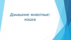 Презентация по развитию речи на тему "Домашние животные: кошка". 1 класс - Класс учебник | Академический школьный учебник скачать | Сайт школьных книг учебников uchebniki.org.ua