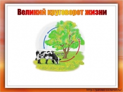 Презентация по окружающему миру на тему "Великий круговорот жизни" ( 3 класс) - Класс учебник | Академический школьный учебник скачать | Сайт школьных книг учебников uchebniki.org.ua