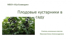 Презентация по миру природы и человека на тему "Плодовые кустарники в саду", 4 класс - Класс учебник | Академический школьный учебник скачать | Сайт школьных книг учебников uchebniki.org.ua