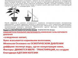 Урок "Повторение по биологии" - Класс учебник | Академический школьный учебник скачать | Сайт школьных книг учебников uchebniki.org.ua