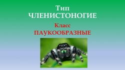 Презентация по биологии 7 класс на тему "Тип Членистоногие Класс Паукообразные" - Класс учебник | Академический школьный учебник скачать | Сайт школьных книг учебников uchebniki.org.ua