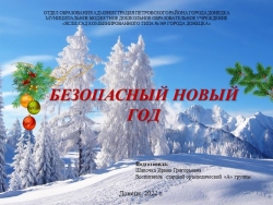 Презентация "Безопасный новый год" - Класс учебник | Академический школьный учебник скачать | Сайт школьных книг учебников uchebniki.org.ua