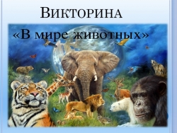 Презентация-викторина к уроку окружающий мир "В мире животных" - Класс учебник | Академический школьный учебник скачать | Сайт школьных книг учебников uchebniki.org.ua