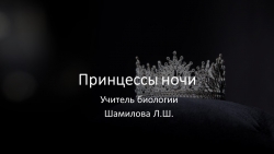 Презентация "Принцессы ночи - кактусы" - Класс учебник | Академический школьный учебник скачать | Сайт школьных книг учебников uchebniki.org.ua