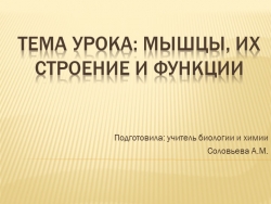 Конспект урока по биологии для 8 класса на тему "Мышцы, их строение и функции" - Класс учебник | Академический школьный учебник скачать | Сайт школьных книг учебников uchebniki.org.ua