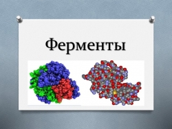 Презентация по химии на тему "Ферменты" - Класс учебник | Академический школьный учебник скачать | Сайт школьных книг учебников uchebniki.org.ua