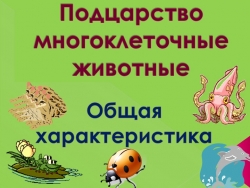 Презентация по биологии на тему "Многоклеточные" (7 класс) - Класс учебник | Академический школьный учебник скачать | Сайт школьных книг учебников uchebniki.org.ua