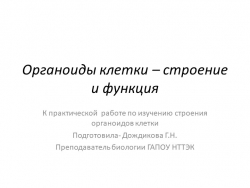 Презентация к теме "Органоиды клетки" - Класс учебник | Академический школьный учебник скачать | Сайт школьных книг учебников uchebniki.org.ua