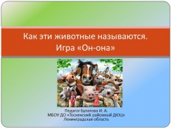 Презентация по окружающему миру "Как называются животные. Игра "он-она"" - Класс учебник | Академический школьный учебник скачать | Сайт школьных книг учебников uchebniki.org.ua