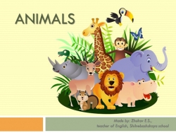 Презентация "Funny animals" по английскому языку для 4 класса - Класс учебник | Академический школьный учебник скачать | Сайт школьных книг учебников uchebniki.org.ua