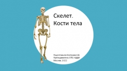 Презентация по пластической анатомии "Скелет. Кости тела" - Класс учебник | Академический школьный учебник скачать | Сайт школьных книг учебников uchebniki.org.ua