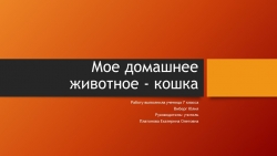 Презентация "Мое домашнее животное - кошка" - Класс учебник | Академический школьный учебник скачать | Сайт школьных книг учебников uchebniki.org.ua