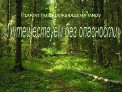 «Путешествуем без опасности» окружающий мир. - Класс учебник | Академический школьный учебник скачать | Сайт школьных книг учебников uchebniki.org.ua