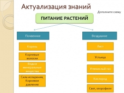 Презентация по биологии на тему "Дыхание корня" - Класс учебник | Академический школьный учебник скачать | Сайт школьных книг учебников uchebniki.org.ua