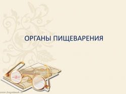 Презентация к открытому уроку в 9 классе "Органы пищеварения" - Класс учебник | Академический школьный учебник скачать | Сайт школьных книг учебников uchebniki.org.ua