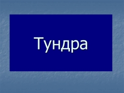 Презентация к уроку окружающего мира "Тундра" - Класс учебник | Академический школьный учебник скачать | Сайт школьных книг учебников uchebniki.org.ua