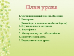 Презентация к открытому уроку Сбор и хранение бересты - Класс учебник | Академический школьный учебник скачать | Сайт школьных книг учебников uchebniki.org.ua