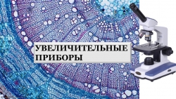 Презентация по биологии на тему "Увеличительные приборы" (5 класс) - Класс учебник | Академический школьный учебник скачать | Сайт школьных книг учебников uchebniki.org.ua