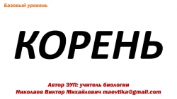 Презентация на тему "Корень - осевой орган растений" - Класс учебник | Академический школьный учебник скачать | Сайт школьных книг учебников uchebniki.org.ua