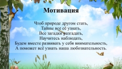 Фрагмент урока презентация "В царстве грибов" 3 класс - Класс учебник | Академический школьный учебник скачать | Сайт школьных книг учебников uchebniki.org.ua